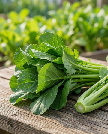 Nać rzepy Early Spring (Brassica rapa) – nasiona warzyw od SeedsChoice