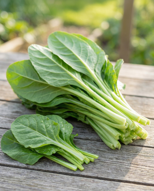 Boćwina Leafy Green 50g (Beta vulgaris) – nasiona warzywa od SeedsChoice