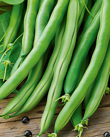 Nasiona fasoli szparagowej pnącej Cobra 100g (Phaseolus vulgaris) – jednoroczna roślina pnąca
