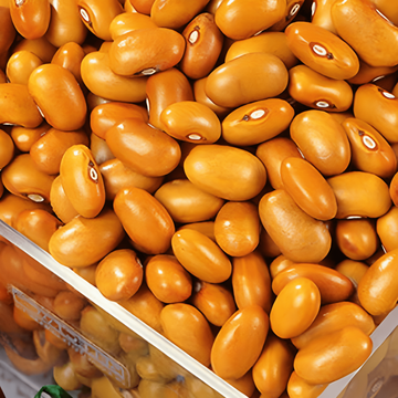 Nasiona fasoli karłowej Brown Dutch 100g (Phaseolus vulgaris) – warzywo jednoroczne