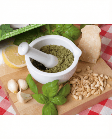 Basil Mortar Set (Ocimum basilicum) – organic herb seeds from SeedsChoice