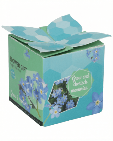 Niezapominajka Doniczka Terakotowa nasiona 0,1g (Myosotis alpestris) – dwuletni zestaw do uprawy
