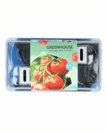 Tomato Maja Greenhouse Patio seeds (Solanum lycopersicum) – grow kit