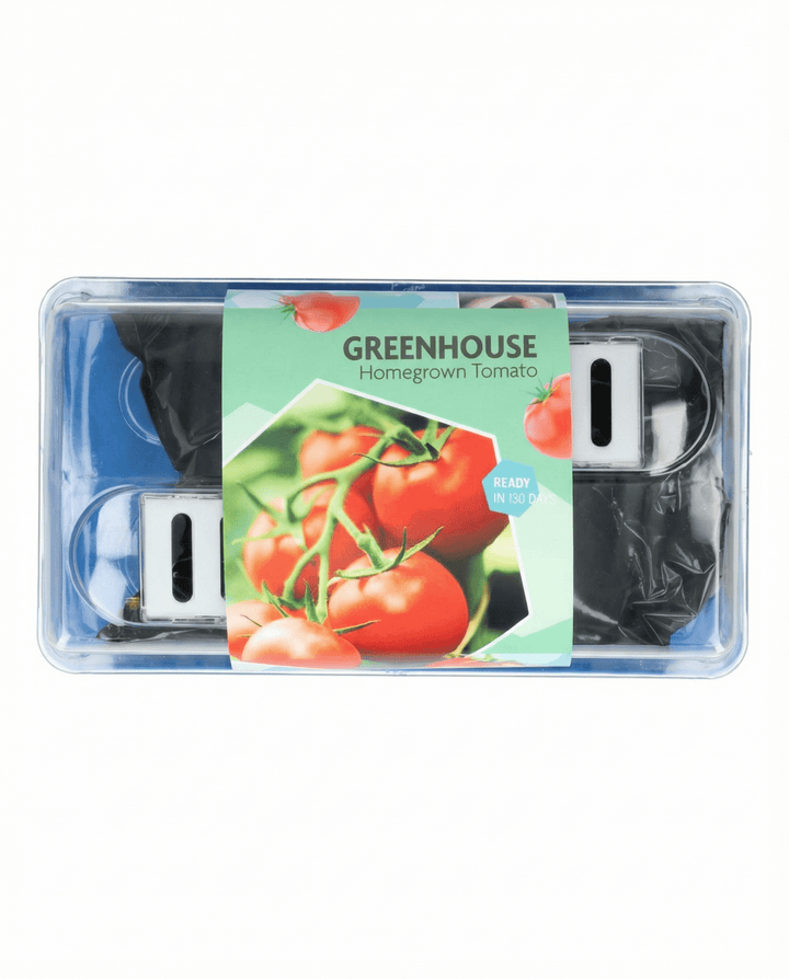 Nasiona pomidora Maja Greenhouse Patio (Solanum lycopersicum) – zestaw do uprawy