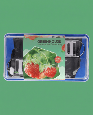 Truskawka Grandian F1 Greenhouse (Fragaria × ananassa) – wieloletni zestaw do uprawy z nasionami od SeedsChoice