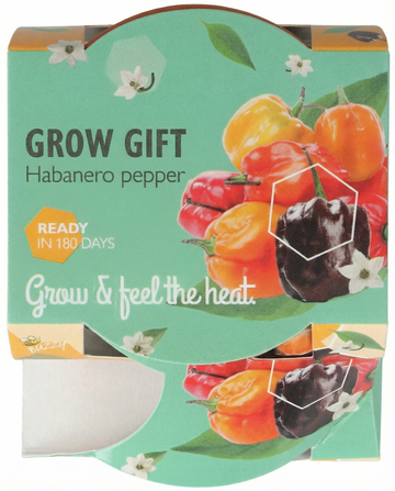 Nasiona papryki Habanero w doniczce terakotowej – zestaw do uprawy od SeedsChoice