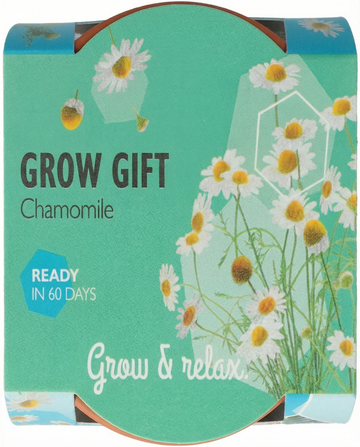 Chamomile seeds – annual grow kit from SeedsChoice