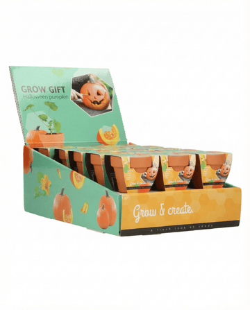 Nasiona halloweenowej dyni – zestaw do uprawy od SeedsChoice