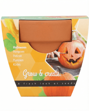 Nasiona halloweenowej dyni (Cucurbita pepo) – zestaw do uprawy