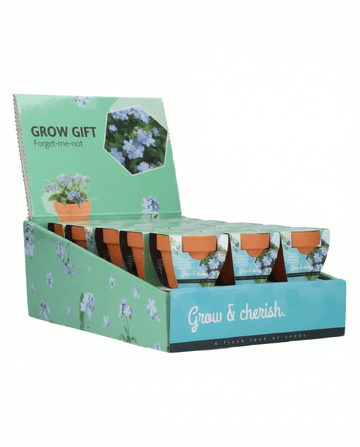 Forget Me Not (Myosotis alpestris) – grow kit seeds from SeedsChoice
