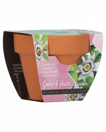 Zestaw uprawowy Passiflora – doniczka terakotowa 30 nasion od SeedsChoice