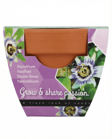 Zestaw uprawowy Passiflora – doniczka terakotowa z 30 nasionami od SeedsChoice
