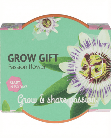 Zestaw uprawowy Passiflora – doniczka terakotowa z 30 nasionami od SeedsChoice