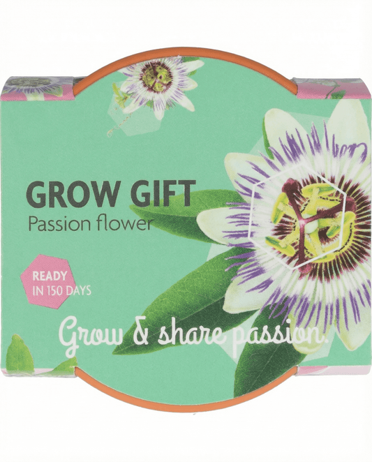 Zestaw uprawowy Passiflora – doniczka terakotowa z 30 nasionami od SeedsChoice