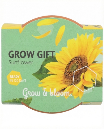 Nasiona Dwarf Sunflower Gift Terracotta Pot – zestaw uprawowy od SeedsChoice