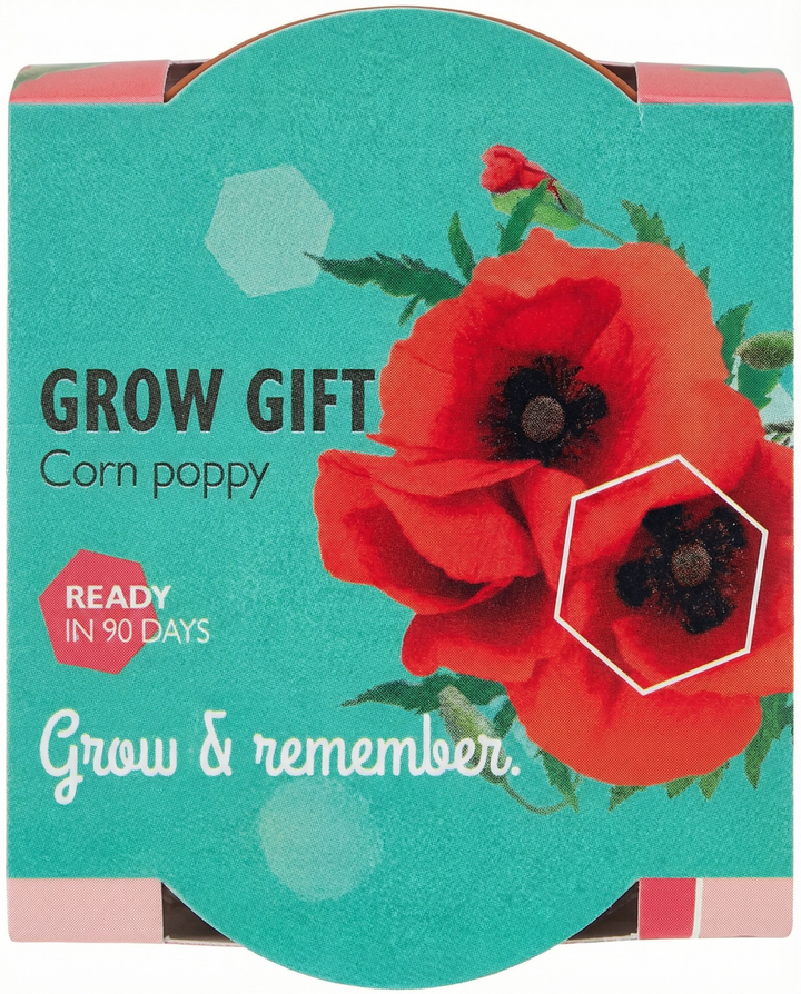 Nasiona maku polnego z doniczką terakotową (Papaver rhoeas) – jednoroczny zestaw uprawowy