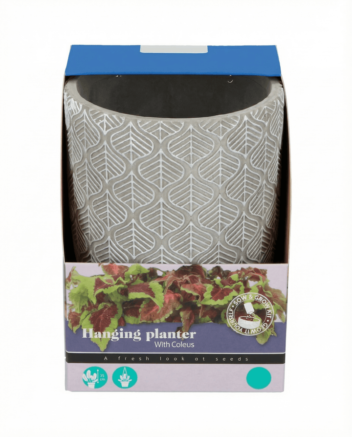 Nasiona do doniczek wiszących (Coleus blumei) – zestaw uprawowy