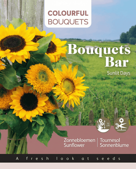 Sunflower 75 Cm Bouquet Mix (Helianthus annuus) – annual flower seeds from SeedsChoice