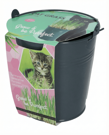 Nasiona trawy dla kota w wiadrze – zestaw uprawny od SeedsChoice