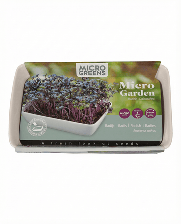 Daikon Radish Microgreens seeds (Raphanus sativus) – grow kit