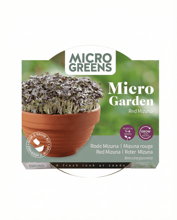 Red Mizuna Microgreens Terracotta Vegetables seeds – grow kit from SeedsChoice