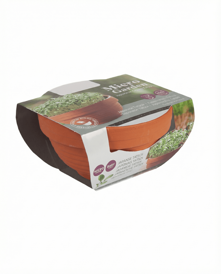 Nasiona tatsoi mikrozieleniny w terakotowej miseczce (Brassica narinosa) – zestaw do uprawy