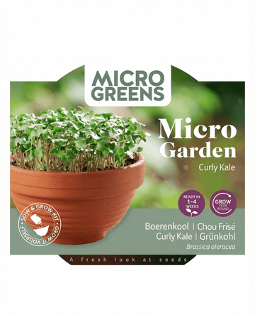 Curly Kale Microgreens Terracotta Dish seeds (Brassica oleracea) – grow kit