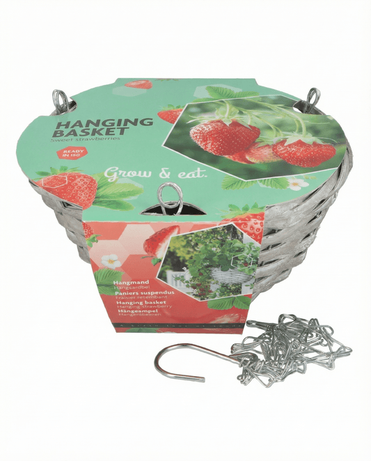 Hanging Basket Strawberry Temptation (Fragaria × ananassa) – grow kit seeds from SeedsChoice