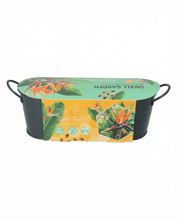 Bird Of Paradise seeds – perennial flower from SeedsChoice