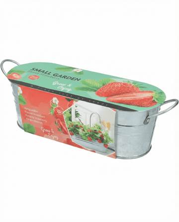 Truskawka owocowa do koszy wiszących (Fragaria ananassa) – nasiona byliny od SeedsChoice