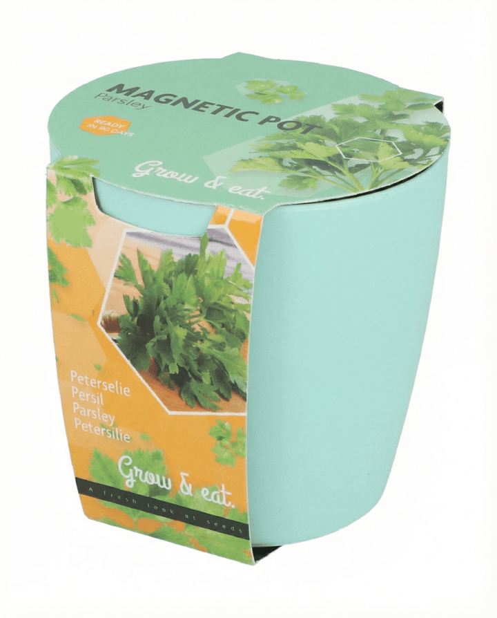 Nasiona zestawu bazylia, szczypiorek, pietruszka (Ocimum basilicum) – zestaw do uprawy