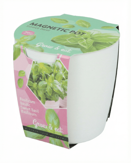 Zestaw nasion bazylia, szczypiorek, pietruszka (Ocimum basilicum) – zestaw do uprawy od SeedsChoice