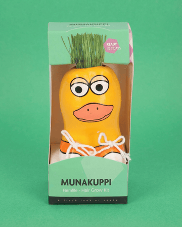 Nasiona życicy wielokwiatowej Duck Figure (Lolium multiflorum) – zestaw do uprawy od SeedsChoice