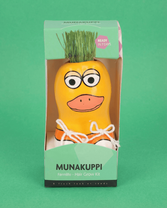 Nasiona życicy wielokwiatowej Duck Figure (Lolium multiflorum) – zestaw do uprawy od SeedsChoice