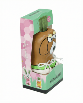 Lolium Multiflorum Seeds Lolium Multiflorum Grass Kit