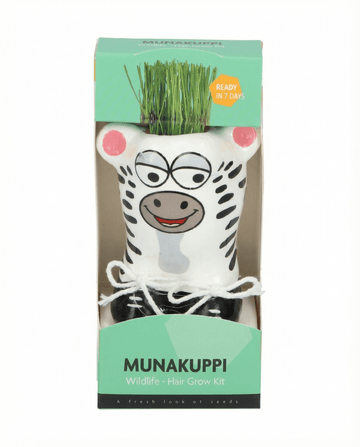 Lolium multiflorum – Grass Zebra uprawiana z nasion