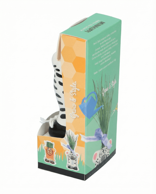 Grass Zebra (Lolium multiflorum) – zestaw do uprawy od SeedsChoice