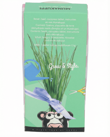 Nasiona życicy wielokwiatowej Pasture – zestaw do uprawy od SeedsChoice