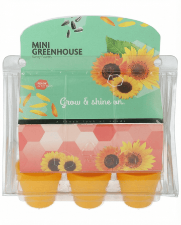 Nasiona słonecznika do mini szklarni i doniczki (Helianthus annuus) – zestaw do uprawy