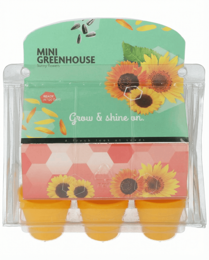 Nasiona słonecznika do mini szklarni i doniczki (Helianthus annuus) – zestaw do uprawy