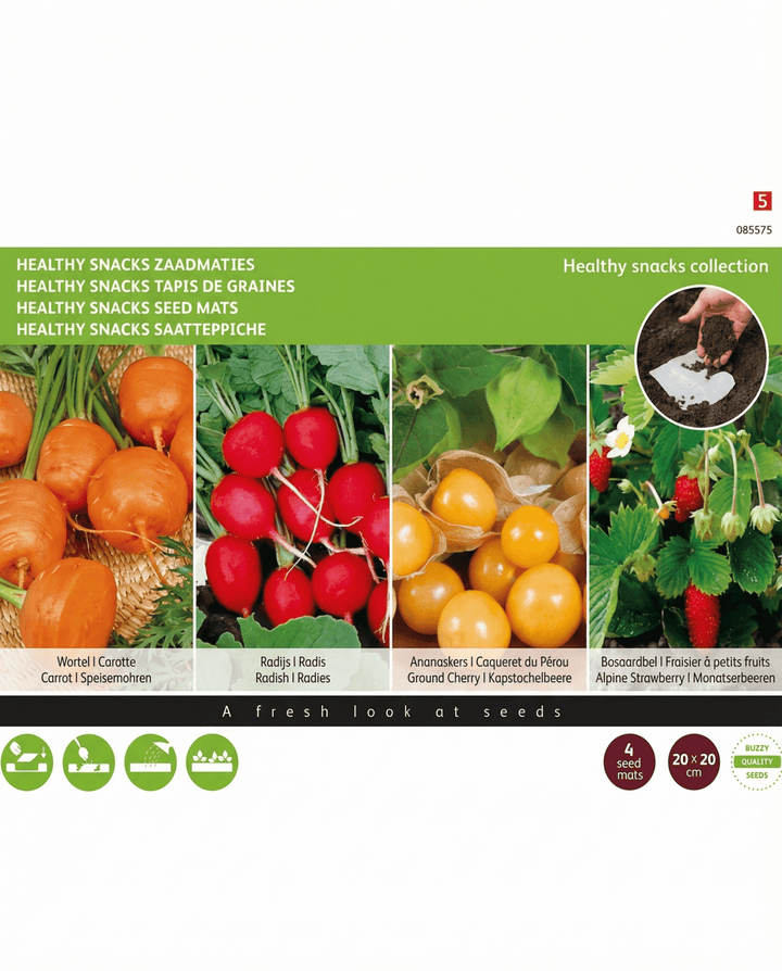 Healthy Snacks Mats 4 20x20 Cm nasiona (Daucus carota) – maty nasienne