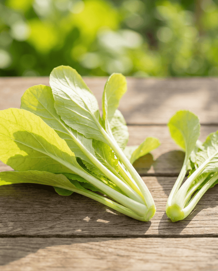 Nasiona liści rzepy żółtych (Brassica pekinensis) – warzywo jednoroczne