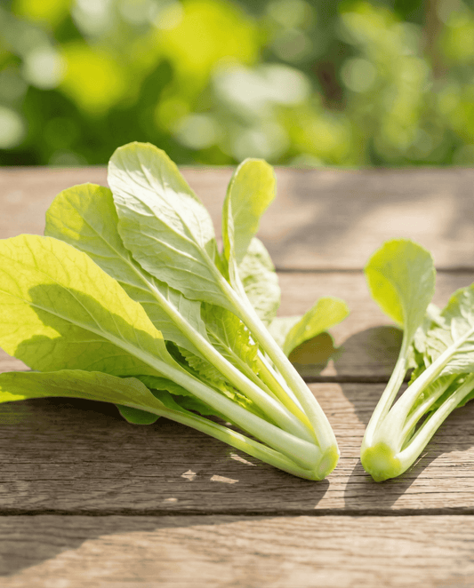 Liście rzepy żółte (Brassica pekinensis) – nasiona jednorocznych warzyw od SeedsChoice